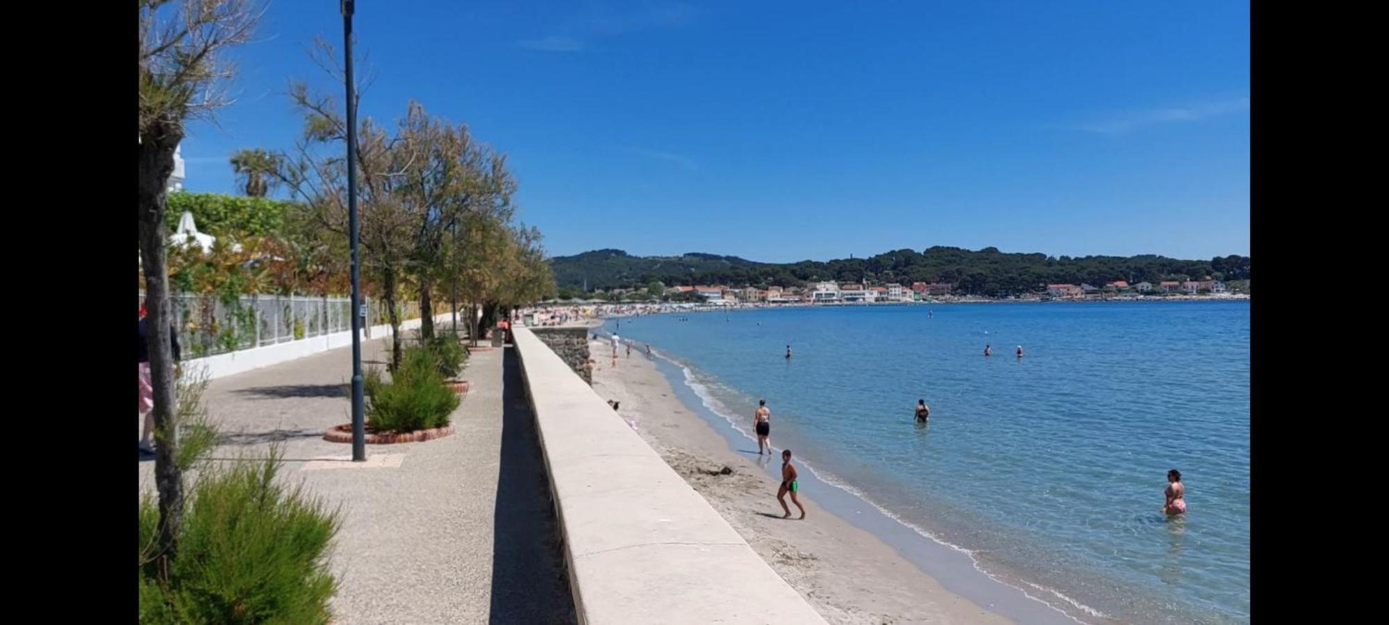 Naturetmer4 Six-Fours-les-Plages Luaran gambar