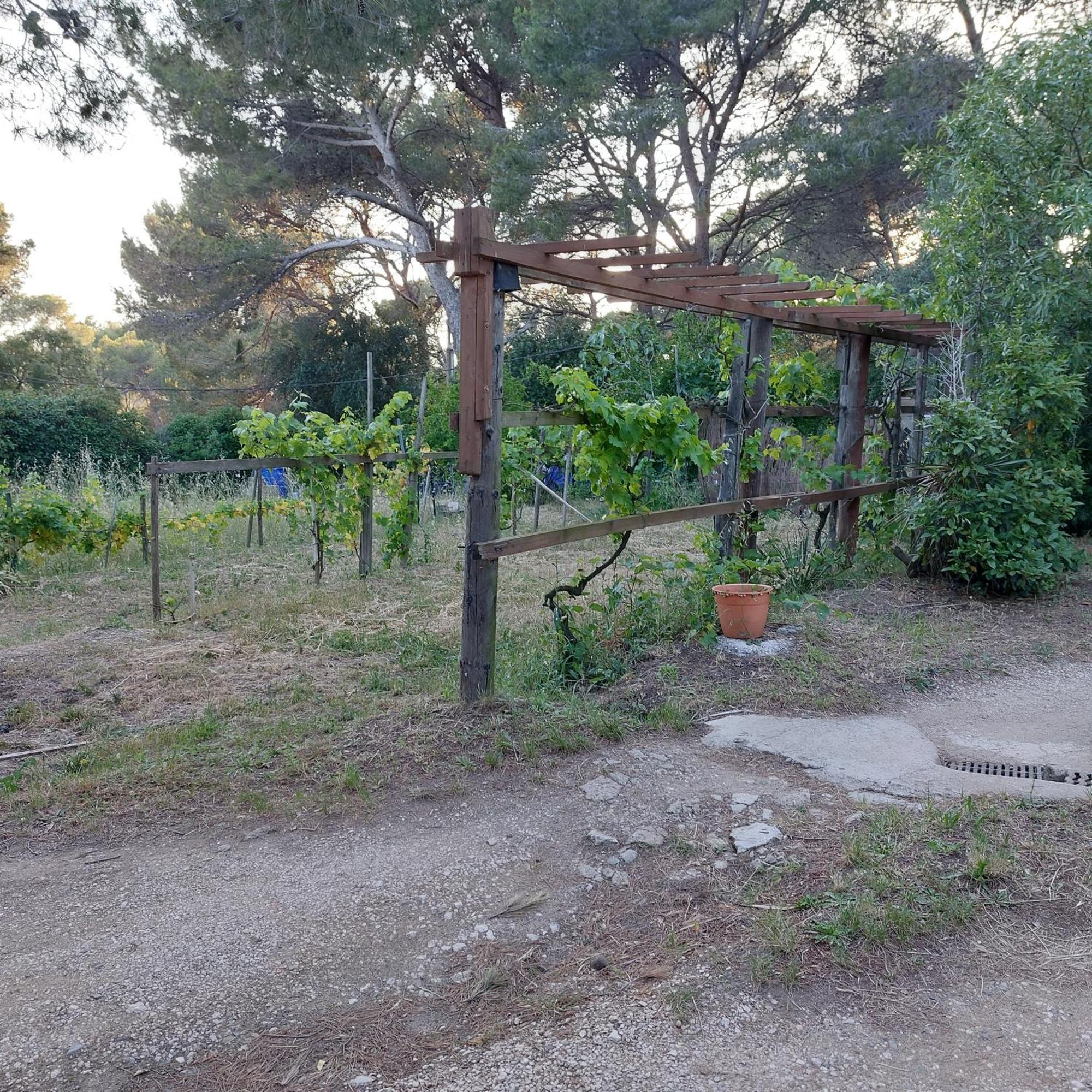 Naturetmer4 Six-Fours-les-Plages Luaran gambar
